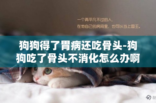 狗狗得了胃病還吃骨頭-狗狗吃了骨頭不消化怎么辦啊