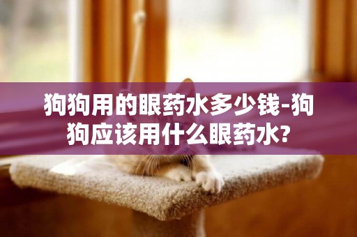 狗狗用的眼藥水多少錢-狗狗應該用什么眼藥水?