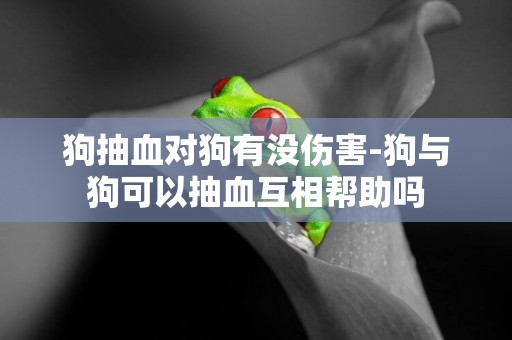 狗抽血對狗有沒傷害-狗與狗可以抽血互相幫助嗎