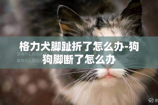 格力犬腳趾折了怎么辦-狗狗腳斷了怎么辦
