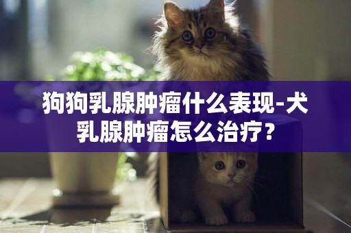狗狗乳腺腫瘤什么表現-犬乳腺腫瘤怎么治療？