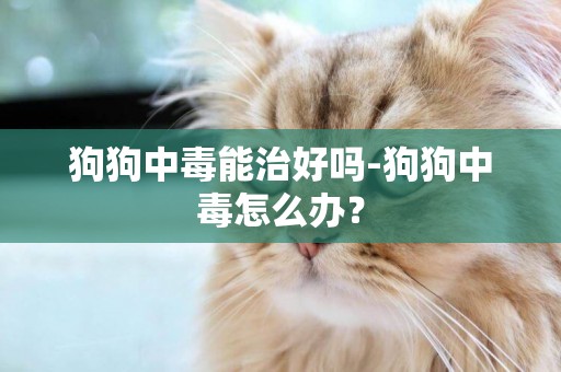 狗狗中毒能治好嗎-狗狗中毒怎么辦？