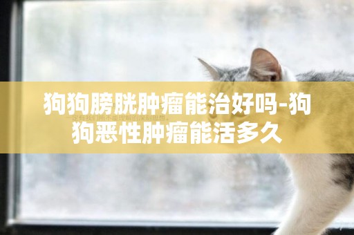狗狗膀胱腫瘤能治好嗎-狗狗惡性腫瘤能活多久