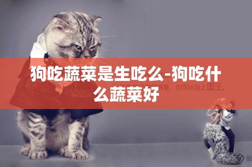 狗吃蔬菜是生吃么-狗吃什么蔬菜好