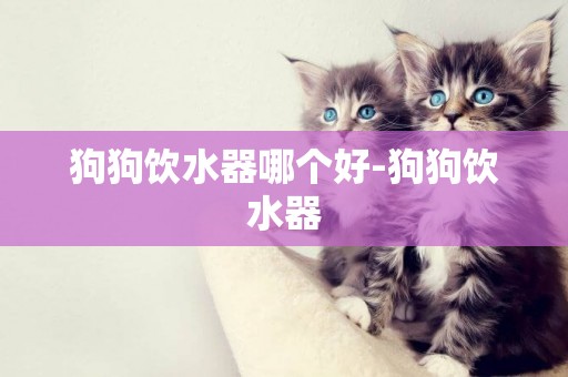 狗狗飲水器哪個好-狗狗飲水器