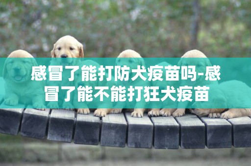 感冒了能打防犬疫苗嗎-感冒了能不能打狂犬疫苗