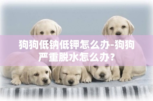 狗狗低鈉低鉀怎么辦-狗狗嚴重脫水怎么辦？