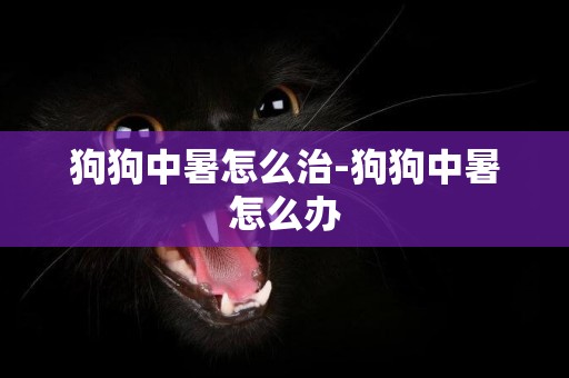 狗狗中暑怎么治-狗狗中暑怎么辦
