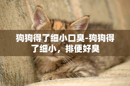 狗狗得了細小口臭-狗狗得了細小，排便好臭