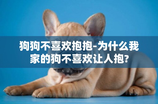 狗狗不喜歡抱抱-為什么我家的狗不喜歡讓人抱?