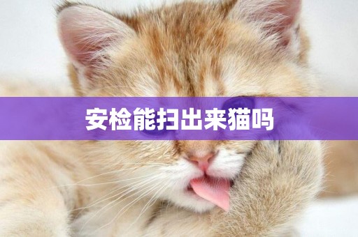 安檢能掃出來貓嗎