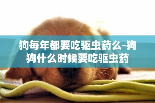 狗每年都要吃驅蟲藥么-狗狗什么時候要吃驅蟲藥