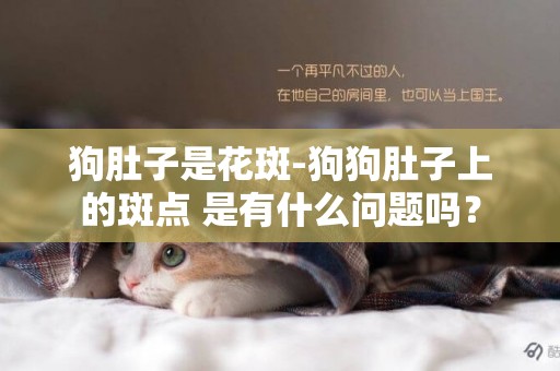 狗肚子是花斑-狗狗肚子上的斑點 是有什么問題嗎？