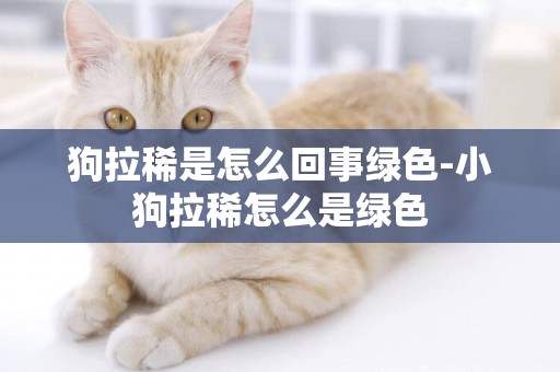 狗拉稀是怎么回事綠色-小狗拉稀怎么是綠色