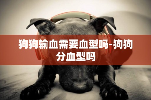 狗狗輸血需要血型嗎-狗狗分血型嗎