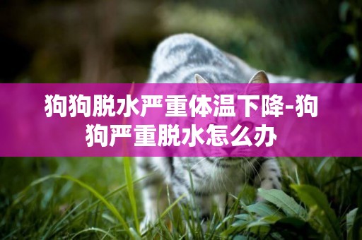 狗狗脫水嚴重體溫下降-狗狗嚴重脫水怎么辦
