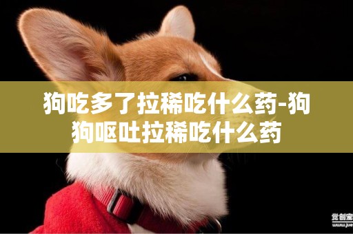 狗吃多了拉稀吃什么藥-狗狗嘔吐拉稀吃什么藥