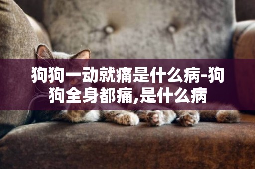 狗狗一動就痛是什么病-狗狗全身都痛,是什么病