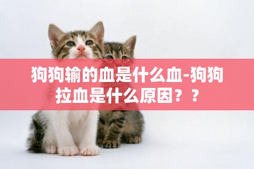 狗狗輸的血是什么血-狗狗拉血是什么原因？？