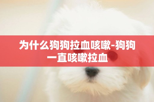 為什么狗狗拉血咳嗽-狗狗一直咳嗽拉血