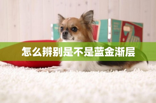 怎么辨別是不是藍金漸層