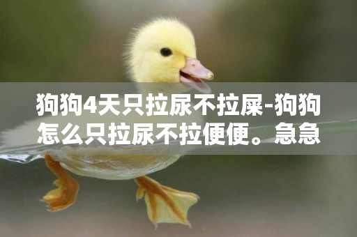 狗狗4天只拉尿不拉屎-狗狗怎么只拉尿不拉便便。急急急