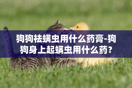 狗狗祛螨蟲用什么藥膏-狗狗身上起螨蟲用什么藥？