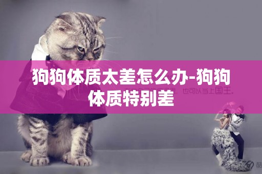 狗狗體質太差怎么辦-狗狗體質特別差