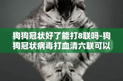 狗狗冠狀好了能打8聯嗎-狗狗冠狀病毒打血清六聯可以嗎?急謝謝