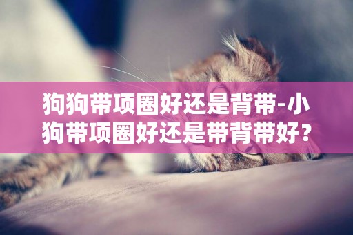 狗狗帶項圈好還是背帶-小狗帶項圈好還是帶背帶好？