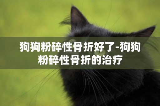 狗狗粉碎性骨折好了-狗狗粉碎性骨折的治療