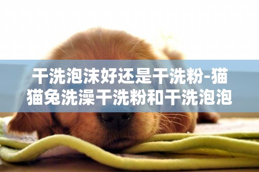 干洗泡沫好還是干洗粉-貓貓兔洗澡干洗粉和干洗泡泡哪個更好