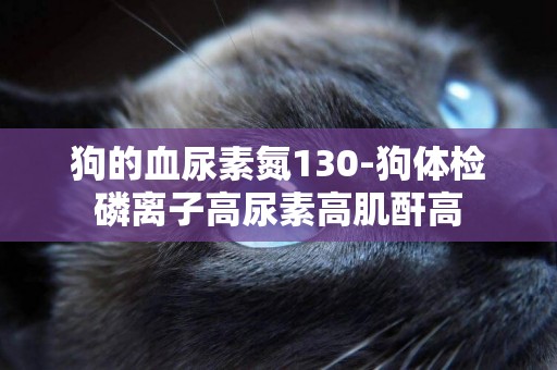 狗的血尿素氮130-狗體檢磷離子高尿素高肌酐高