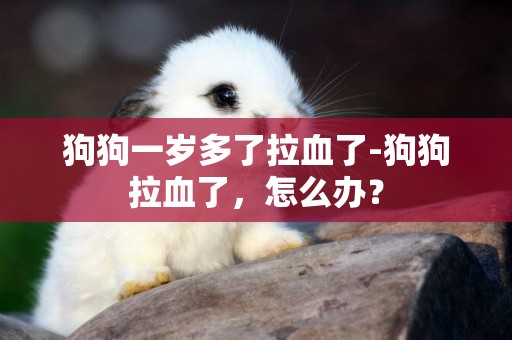狗狗一歲多了拉血了-狗狗拉血了，怎么辦？