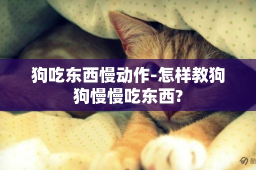 狗吃東西慢動作-怎樣教狗狗慢慢吃東西?