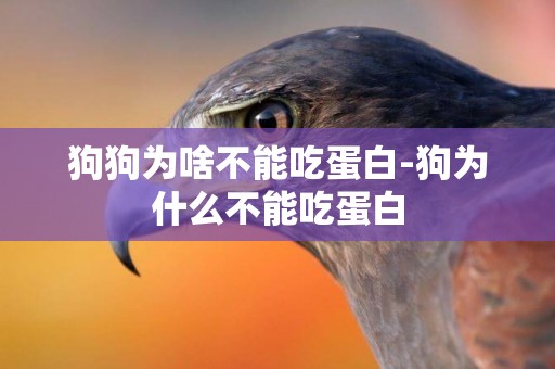 狗狗為啥不能吃蛋白-狗為什么不能吃蛋白