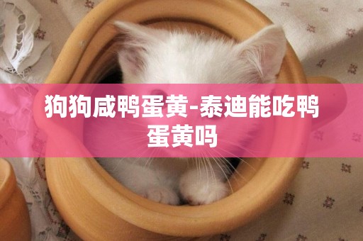 狗狗咸鴨蛋黃-泰迪能吃鴨蛋黃嗎