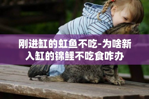 剛進缸的虹魚不吃-為啥新入缸的錦鯉不吃食咋辦