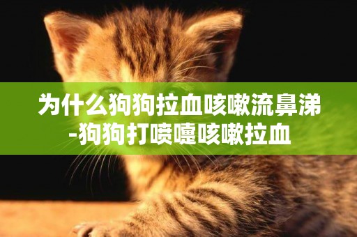 為什么狗狗拉血咳嗽流鼻涕-狗狗打噴嚏咳嗽拉血