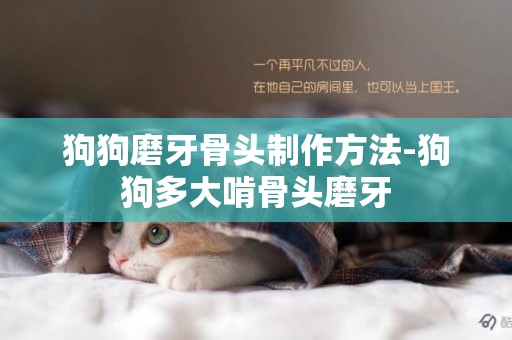狗狗磨牙骨頭制作方法-狗狗多大啃骨頭磨牙