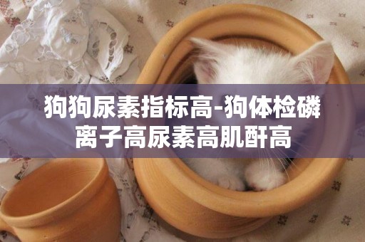 狗狗尿素指標高-狗體檢磷離子高尿素高肌酐高