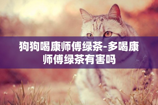 狗狗喝康師傅綠茶-多喝康師傅綠茶有害嗎
