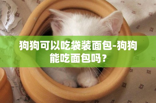 狗狗可以吃袋裝面包-狗狗能吃面包嗎？