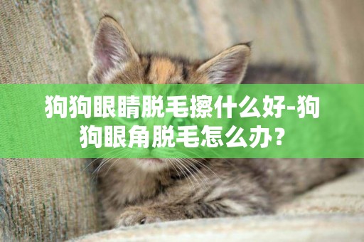 狗狗眼睛脫毛擦什么好-狗狗眼角脫毛怎么辦？