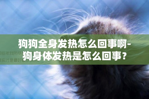 狗狗全身發熱怎么回事啊-狗身體發熱是怎么回事？