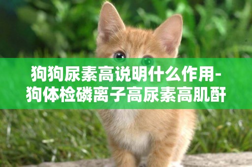 狗狗尿素高說明什么作用-狗體檢磷離子高尿素高肌酐高