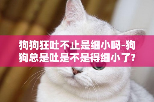狗狗狂吐不止是細小嗎-狗狗總是吐是不是得細小了?