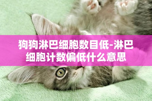 狗狗淋巴細胞數目低-淋巴細胞計數偏低什么意思