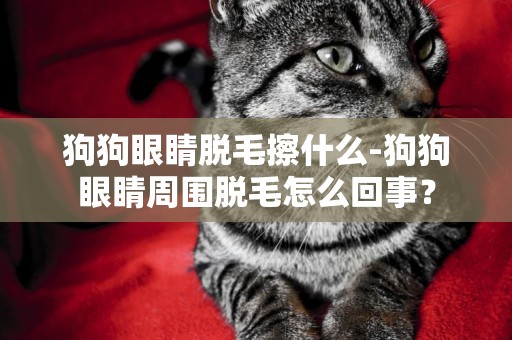 狗狗眼睛脫毛擦什么-狗狗眼睛周圍脫毛怎么回事？
