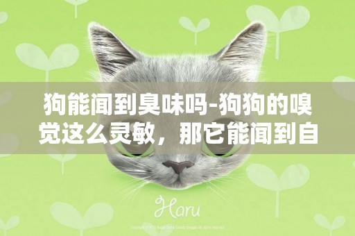 狗能聞到臭味嗎-狗狗的嗅覺這么靈敏，那它能聞到自己身上的臭味嗎